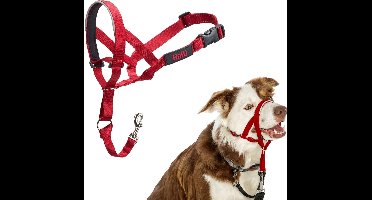 Company of Animals dog dumbbell,2,red,2