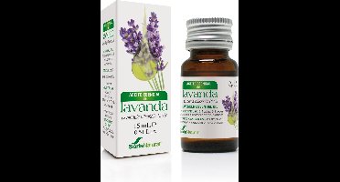 Lavandula Officinalis      Sor