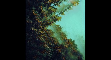 Caterpillars Of Creation