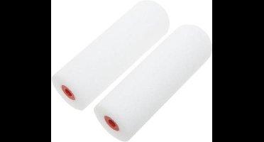 SAM lakroller recht - 2 x 10 cm.