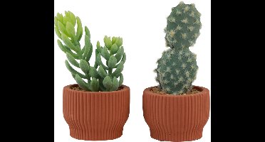 Kunstplanten Succulent Cactus Kunstmatige groene plant 14,5/15,5 cm 2
