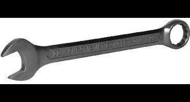 Steek-ringsleutel 22 mm