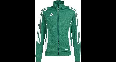 adidas Sweater Kinderen Tiro 24 Training Groen - Maat 152cm