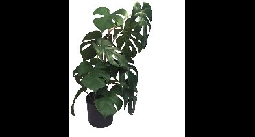 Buitengewoon de boet - Monstera 46 cm kunstplant