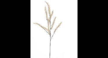 Buitengewoon de boet - Betula spray bruin 68 cm kunsttak