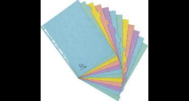 Exacompta 15x Tabbladen in glanskarton 400g/m2 Aquarel 12 verdelingen - A4 - Geassorteerd - 7712E