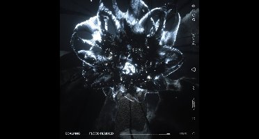 Scalping - Flood Remixed (12" Single)