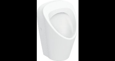 Geberit Urinoir (goot)