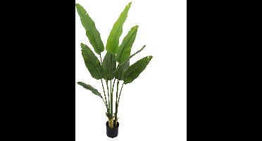 Kunstplant Strelitzia in Pot - 180 cm