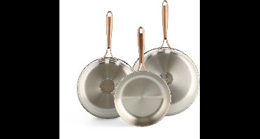 BK Rose Koekenpannenset 3-delig - 20/24/28cm - Zonder PFAS-vrije antikleeflaag - Koekenpan inductie - RVS pannenset - Ovenbestendig tot 200°C - Zilver