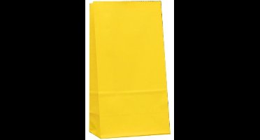 Daily Style – Papieren Cadeautas – Donkerblauw – 10 stuks – 8x21 cm