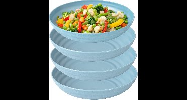 Plasticforte Rond bord/camping - 4x - diep bord - D19 x H4.5 cm - blauw - kunststof - soepborden - onbreekbaar servies