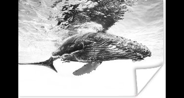 Poster - Walvis - Dieren - Zee - Zwart - Wit - Posters zwart wit - 30x20 cm - Muurposter - Posters