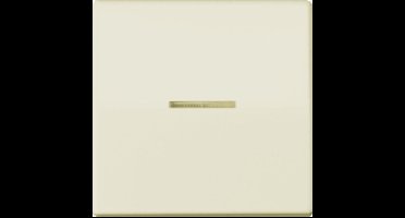 Jung AS500 Schakelelement/Centrale Plaat - AS591KO5 - E32QS