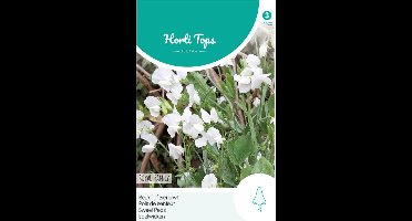 Hortitops Zaden - Lathyrus Odor. Royal Family Wit