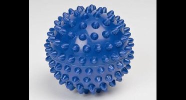 Kleine harde egel reflexbal