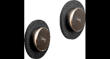 Silwy Magnet Pin Smart, zwart, set van 2