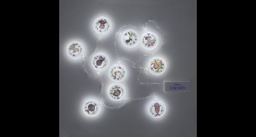 Paladone Disney String Lights with Stickers-Encanto (Diversen) Nieuw