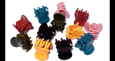 Haarklemmetjes winter mix #1