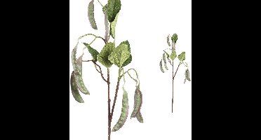 PTMD Twig Plant Erwt Kunsttak - 30 x 14 x 72 cm - Groen