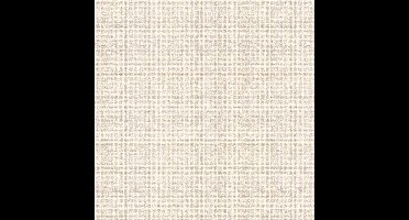 Dutch Wallcoverings - Grace Tweed plain beige - vliesbehang - 10m x 53cm - GR322602