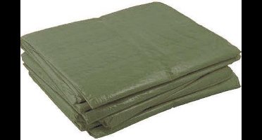 Cover Dekkleed PE Economy groen 100 gr/m² 8x10m