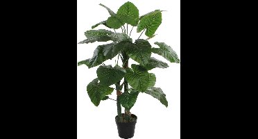Kunstplant Taro Groen - H 120cm - Kunststof pot - Mica Decorations