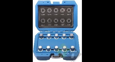 BMW montage en demontageset wielbouten - wielmoeren - 10 dlg, velgendop - Wielmoer slot sleutel set