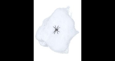Dressing Up & Costumes | Costumes - Halloween - Spider Web Fibre Decoration