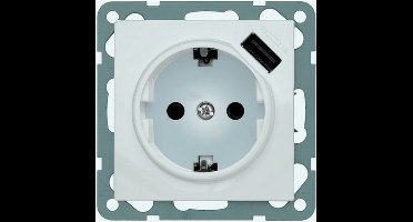 Honeywell Peha Standaard Inzetschakelbord Plaat - 00244061 - E2U3B