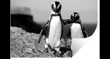 Muurstickers - Sticker Folie - Twee pinguïns knuffelen op een rots - zwart wit - 30x20 cm - Plakfolie - Muurstickers Kinderkamer - Zelfklevend Behang - Zelfklevend behangpapier - Stickerfolie