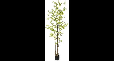 Emerald - Kunstboom Tropaeolum 210cm - Kunstplant voor binnen - Tropaeolum plant - Oost Indische kers