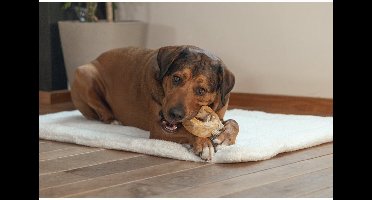 Beeztees Touw Dirk - S