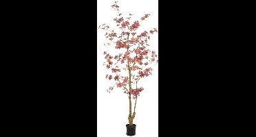 Emerald - Kunstboom Tropaeolum 185cm Bordeaux - Kunstplant voor binnen - Tropaeolum plant - Oost Indische kers