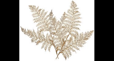 Decoris Kunstplant tak varen - 2x - goud - 80 x 30 cm - kunststof - metallic glans - decoratie takken en twijgen