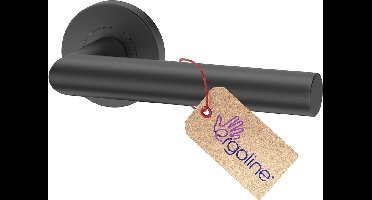 Grafieten Deurbeslag LUCA, Deurbeslag set Binnendeur, Deurklink Set, Deurklink met ronde rozet, zonder extra onderrozet, Grafiet, Deurkruk, Incl. Bevestigingsmateriaal - Terugslagveer