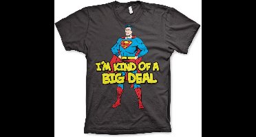 DC Comics Superman Heren Tshirt -S- I'm Kind Of A Big Deal Grijs