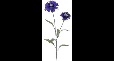 Buitengewoon de boet - Kunst korenbloem blauw, 73 cm