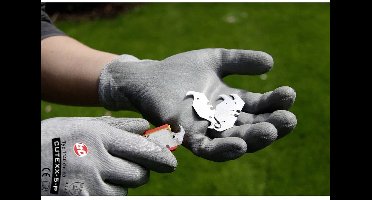 Leipold Doehle CUTEXX-C-P 1140-9 Nylon Snijbeschermingshandschoen Maat (handschoen): 9, L EN 388 Cat II 1 paar