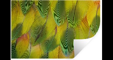 Muurstickers - Sticker Folie - Structuur van gele veren - 30x20 cm - Plakfolie - Muurstickers Kinderkamer - Zelfklevend Behang - Zelfklevend behangpapier - Stickerfolie