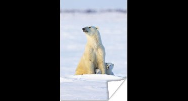 Poster IJsbeer - Sneeuw - Welpen - 20x30 cm