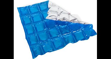 Gerimport Koelelementen - flexibele gel icepack 15 x 24 cm - blauw