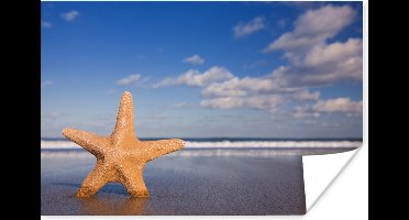Poster Zeester - Oranje - Zand - 30x20 cm