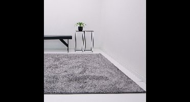 Vloerkleed Xilento Living Platinum | 170 x 230 cm