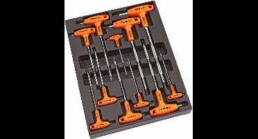 BETA T50 - 11 Delige gereedschap Foam inlay