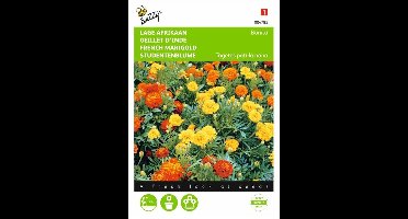Lage Afrikaan Bonita - Tagetes patula nana