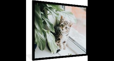 Fotolijst incl. Poster - Kat - Kitten - Planten - 80x60 cm - Posterlijst