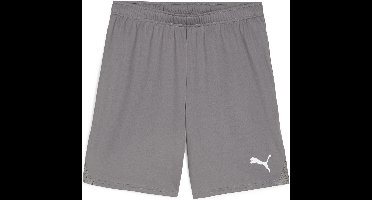 PUMA teamGOAL Shorts Heren sportbroek - Cast Iron-PUMA White