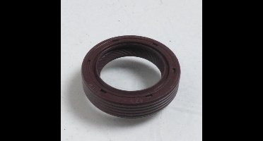 originele motorafdichting voor scooter piaggio 125 vespa gts 2007-2012 82540r / 20x30x7mm nieuw