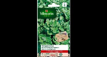 Nieuw Zeelandse Spinazie